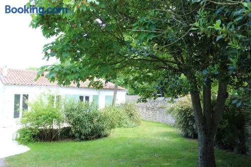 Clos du Pere Ignace à Saint-Martin-de-Ré - Image 1