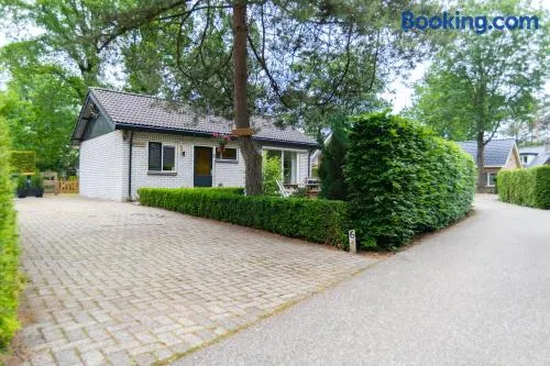 Vakantiehuisje Specht - Image 1