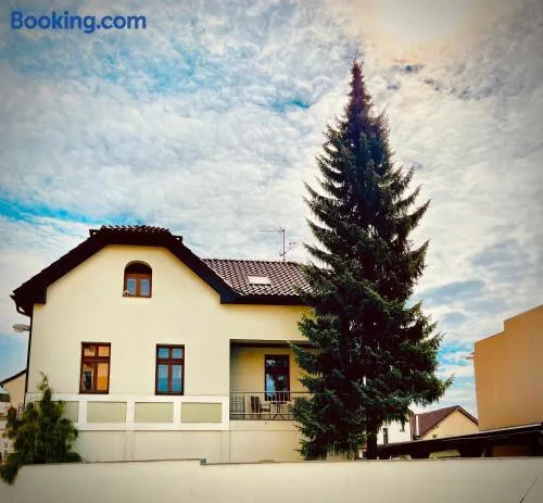 Apartmán U SMRKU - Image 1