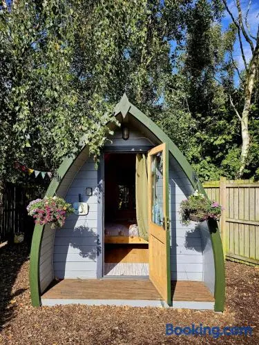 The Forest Pod - Wood Fired Hot Tub and Fire Pit - Image 1