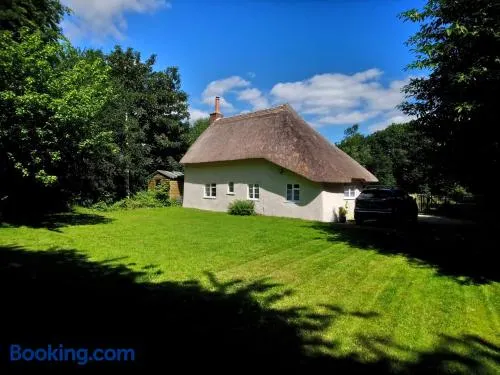 Honeysuckle Cottage - Image 1