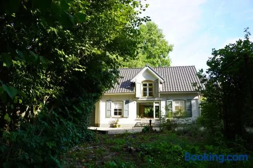 Natuurhuisje Laanzicht Ophemert - Image 1