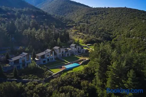 Alti Luxury Villa - Image 1