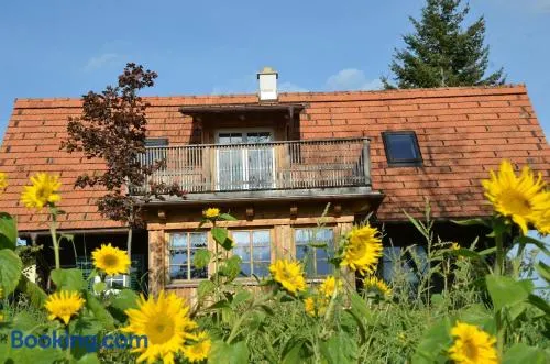 Sonniges Kellerstöckel im Schilcherland - Image 1