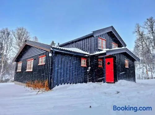 Trivelig og romslig hytte nær Røros, rikelig med uteplass - Image 1