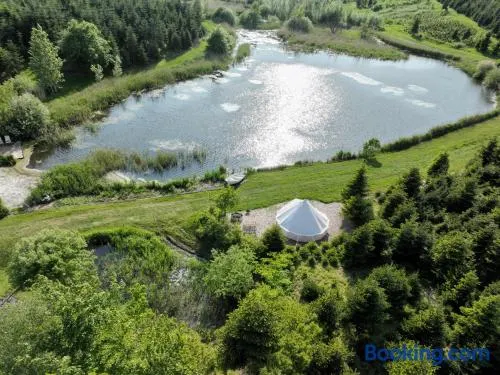 Calm and idyllic surroundings in Northen Jutland - Image 1