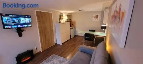 Studio chaleureux avec parking et recharge VE privés - Image 1