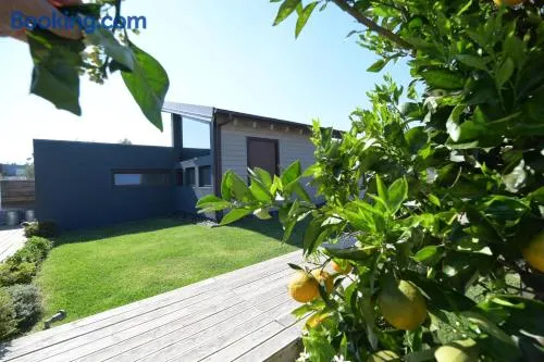 Schinias beach villa 2 - Image 1