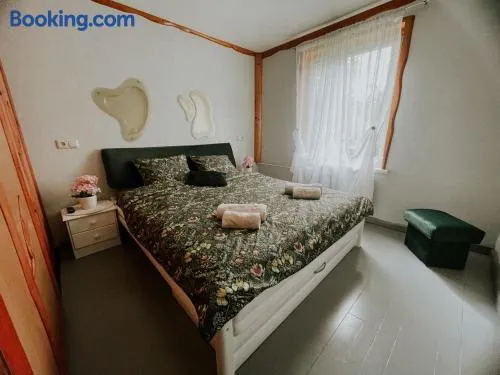 Family or Group Apartment in Talsi Center - Image 1