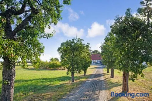 Stora Beddinge - Sun apartment - Image 1