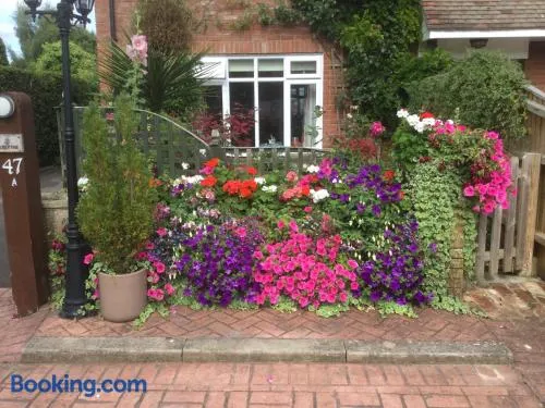 Albertine ,A warm welcome awaits you ,Offering en-suite room only accommodation,Ideal location for Solent Way ,High Street ,Isle of Wight ,New Forest - Image 1