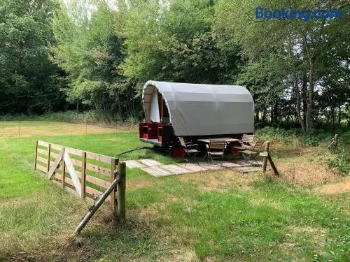 Huifkar in landelijke omgeving De Mersken 9 Ureterp - Image 1