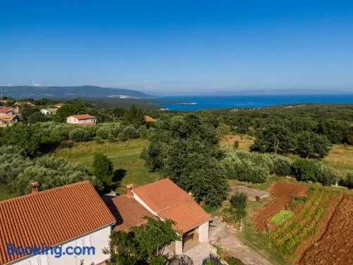 Apartman Viridis - Image 1