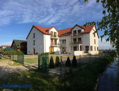 Rybitwa Karwia - Image 1