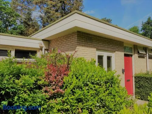 Bungalow Hartje Veluwe - Image 1