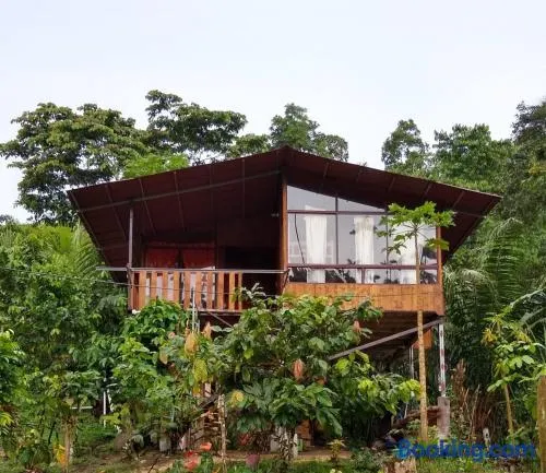 Nido de Vida - Image 1