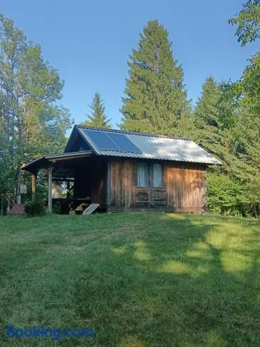 Forest Cabin Black Stream - Wilderness Experience - Image 1