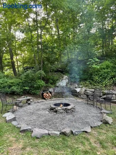 The Arts & Crafts House with Firepit, Skylights, Jetted Bathtub - Image 1