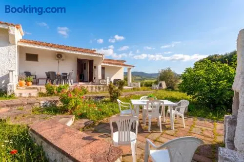 Grande maison de vacances avec barbecue, terrasse et jardin | À côté de la plage | Avec animaux admis - Image 1