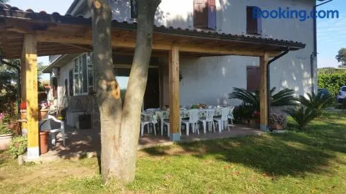 La Finestra Sul Cortile - Image 1