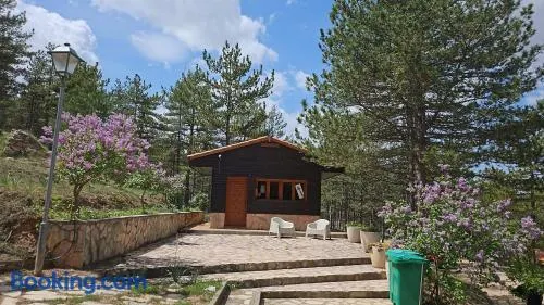 Camping Las Cabañas - Image 1