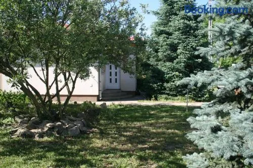 Levendula Apartman Nyíregyháza - Image 1