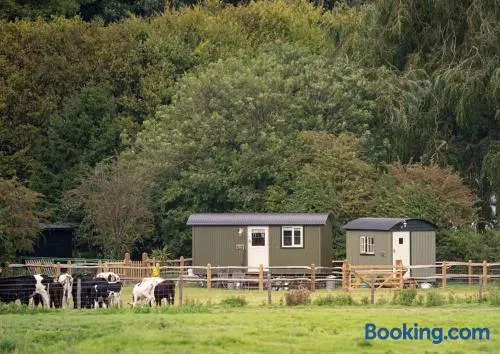 Shepherds Huts Tansy & Ethel in rural Sussex - Image 1