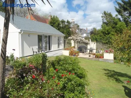 Chy Lowarth - Image 1