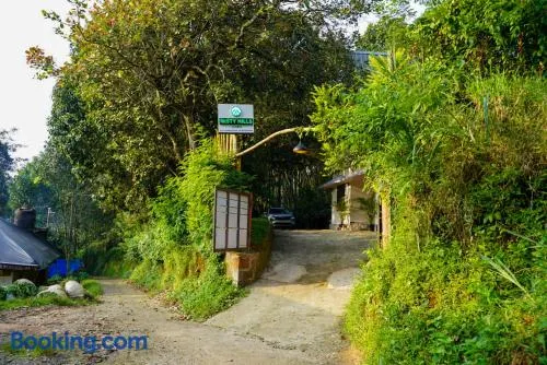Misty Hills Cabin - Image 1