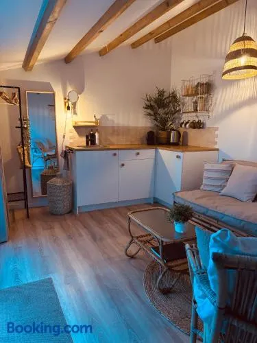 Tiny House t Kleine Paradijs - Image 1