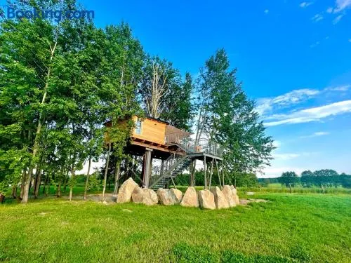 Zelený ostroff Treehouse - Image 1