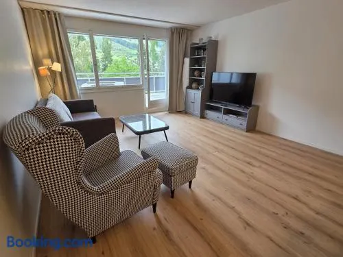 PL203 frisch renovierte lichtdurchflutete Wohnung mit Terrasse - Image 1