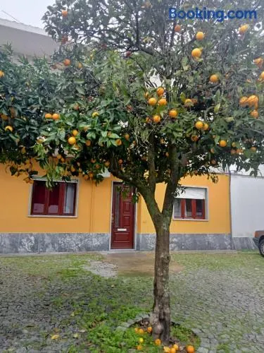 Evora Domus - Image 1