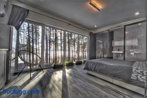GaujaClub - our BOSE and Bang&Olufsen lofts on a lake - Image 1