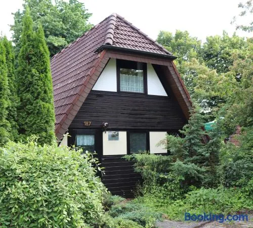 Ferienhaus Waldparadies - Image 1