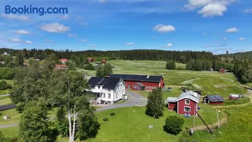 Nice farm cottage LaxsjöHotagströmmen - Image 1
