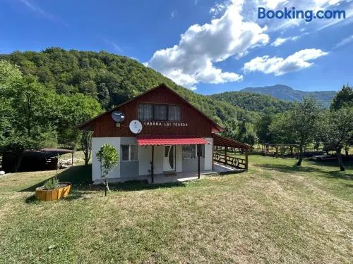 Cabana lui Foardă - Image 1