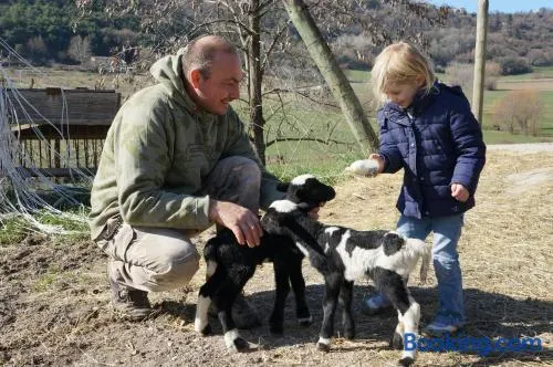 Domaine du Bas Chalus - Image 1