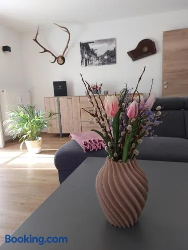 Haus Kurparkblick Ferienwohnung Lautersee - Image 1