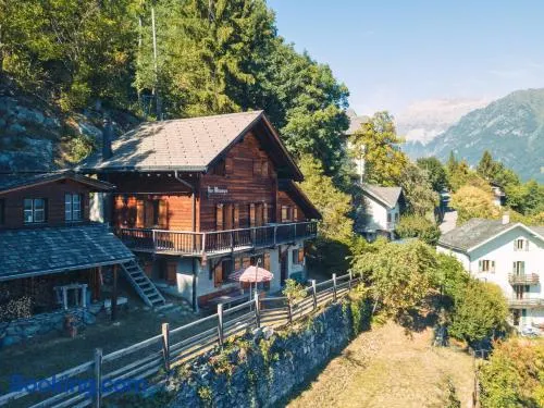 Chalet mit Grill und Garten - Image 1