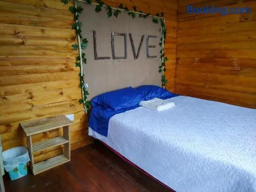 Glamping entre bosques - Image 1