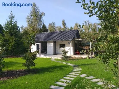 Mazury domek całoroczny Pelnik gm Ostróda jezioro las - Image 1