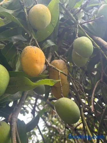 Aconchego e diversão - Image 1