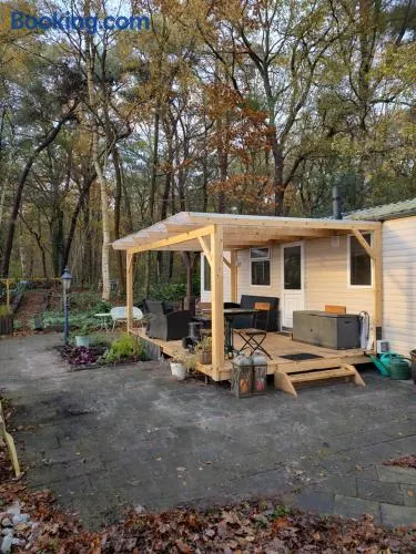 Chalet met veranda aan bosrand - Image 1
