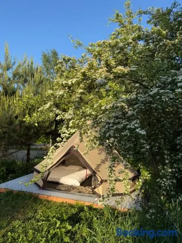 Pine Nest Glamping - Image 1