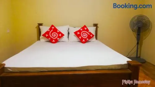 Pinthu Home Stay - Image 1