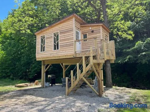 The Owl's Perch Treehouse - Image 1