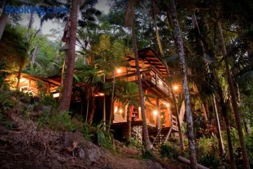 Currumbin Rainforest Treehouse - Image 1