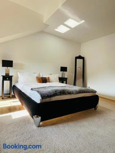 Sonnige Wohnung Mühlhausen mit Südbalkon - Image 1