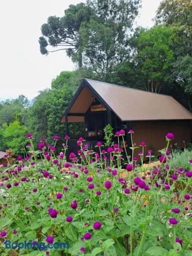 Cabana do Mato Waldhütte - Image 1